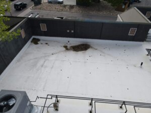 📍 5856 S Lowell Blvd